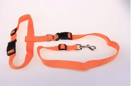 Running Pull Belt Traction Dog Rope