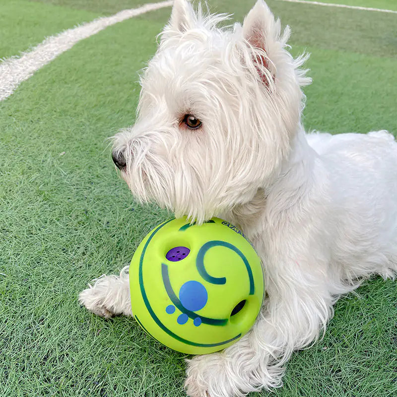 Dog Football Toys