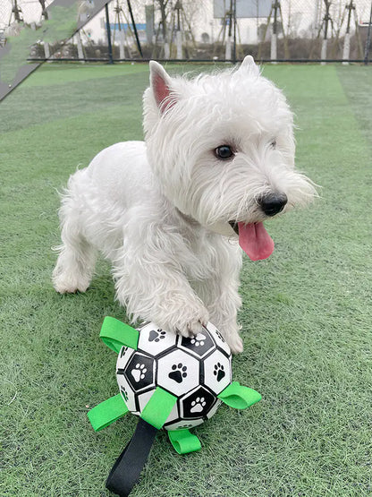 Dog Football Toys