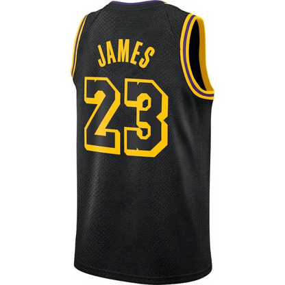 Men's Los Angeles Lakers LeBron James Black Jersey